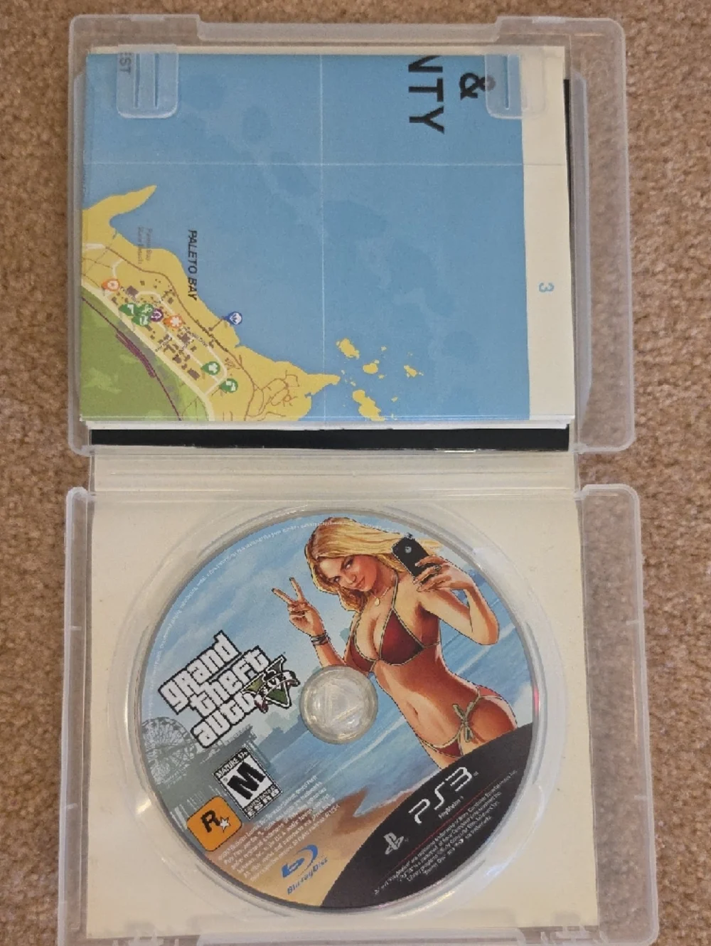 Sony PS3 Grand Theft Auto V Cover Art - Multicolor